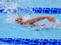 IMG_6998 r rr.JPG