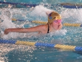 IMG_1931 r r.JPG