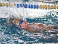 IMG_1958 r r.JPG