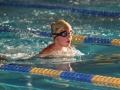 IMG_2011 r r.JPG