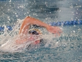 IMG_2061 r r.JPG