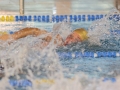 IMG_2124 r r.JPG