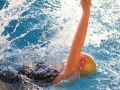 IMG_4288 rr rrok.JPG