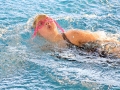 IMG_4312 rr rrok.JPG