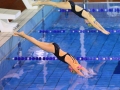 IMG_4352 rr rrok.JPG