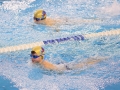 IMG_4366 rr rrok.JPG