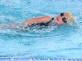 IMG_7708rrrr.JPG