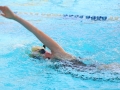 IMG_7709rrrr.JPG
