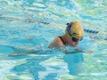 IMG_7746rrrr.JPG